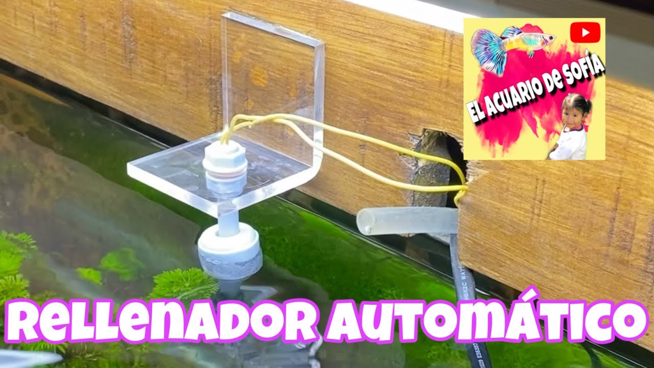El Acuario de Sofia - Rellenador automatico - DIY