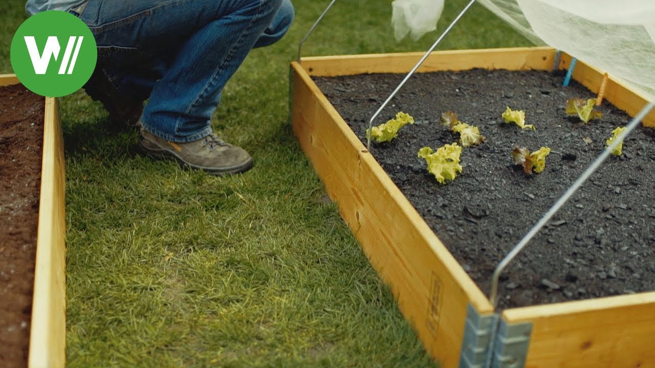 Samen vorziehen und Frühbeet anlegen - Anleitung vom Gartenprofi Josef Starkl