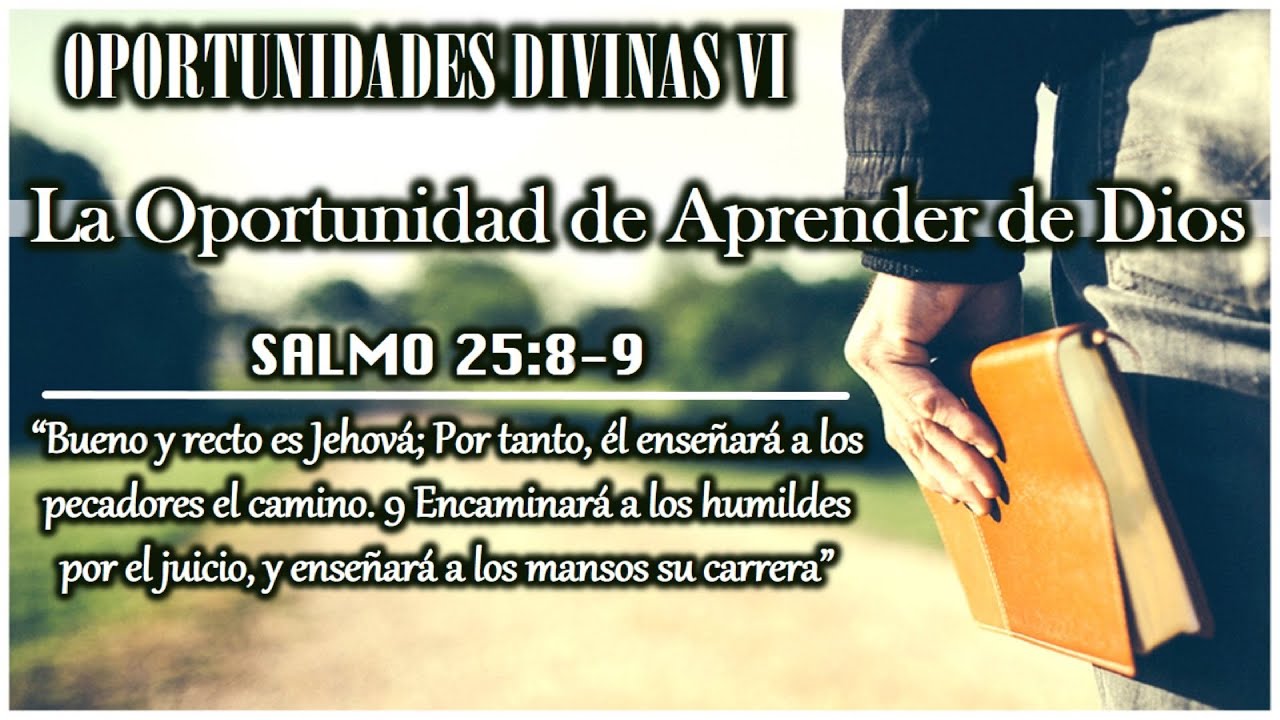 Oportunidades Divinas VI