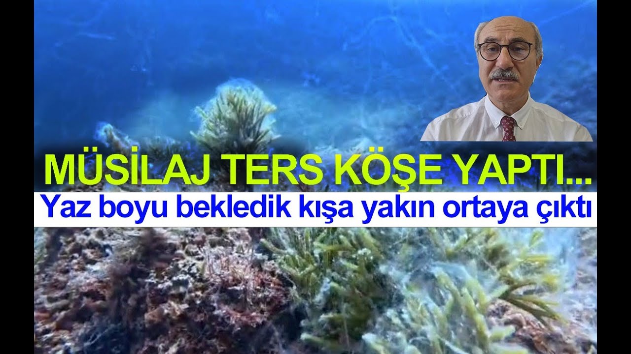 M&Uuml;SİLAJ TERS K&Ouml;ŞE YAPTI... BİLİM YANILMADI