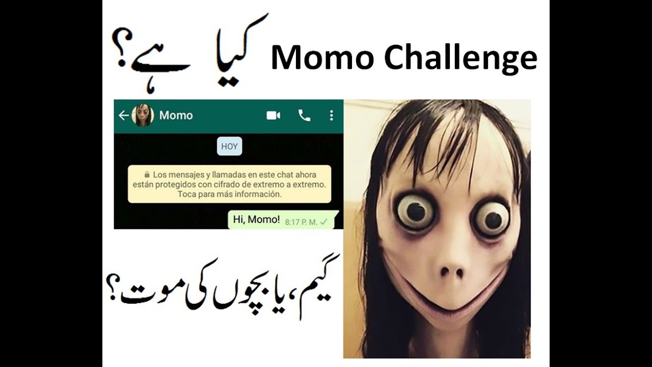 What is Momo Challenge in Urdu/Hindi