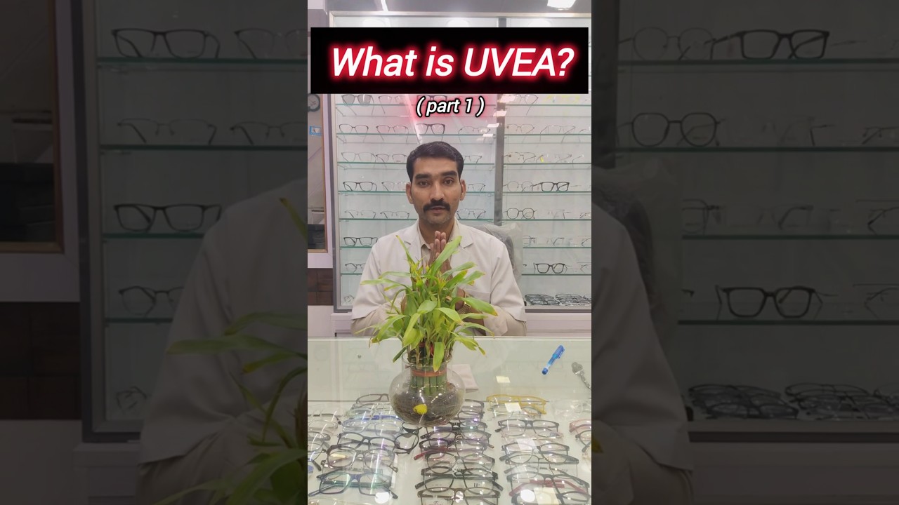 What is UVEA? | The Middle Layer of Eye Explained