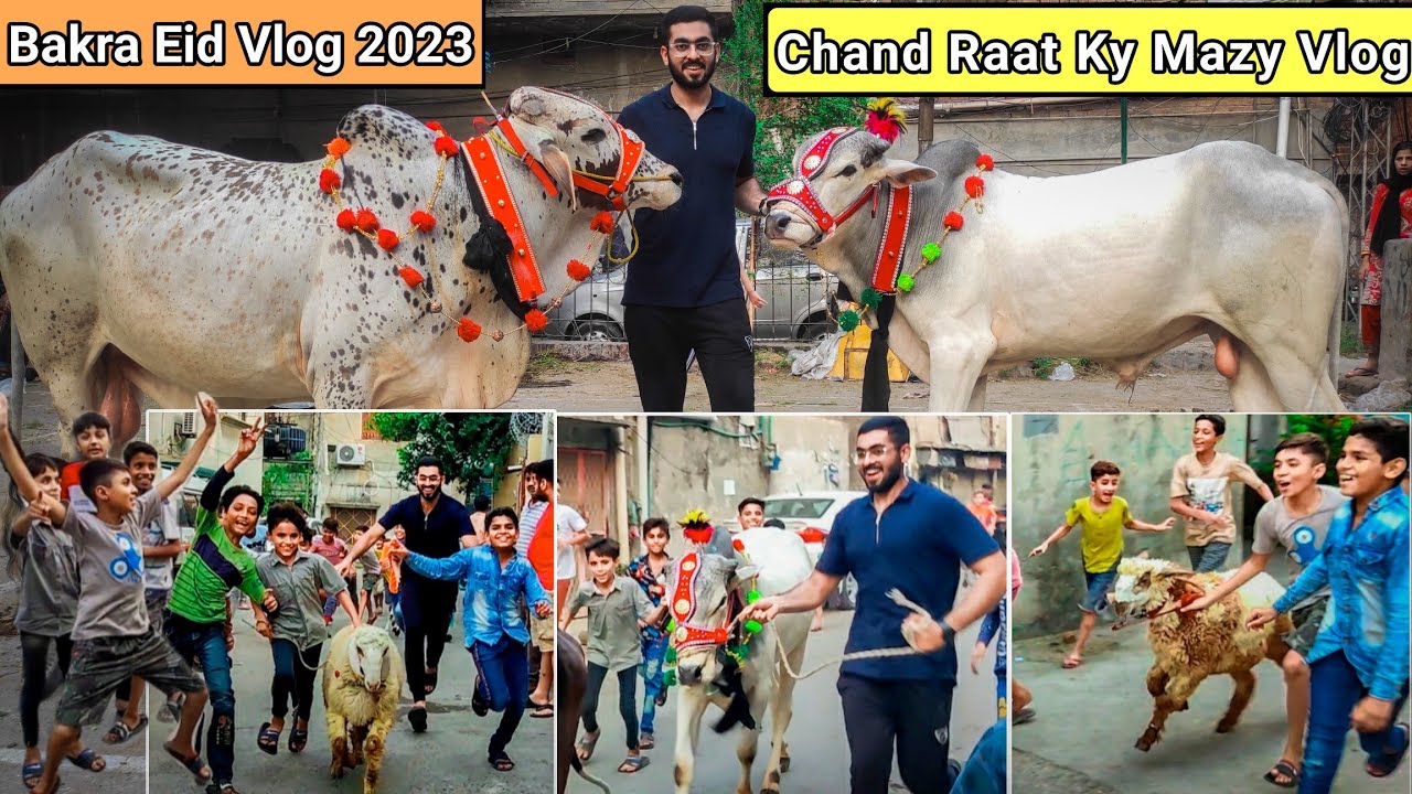Bakra Eid Vlog 2023 | Chand Raat Ky Mazy In Lahore 2023|Cow for qurbani 2023|Cattle Of Pakistan 2023