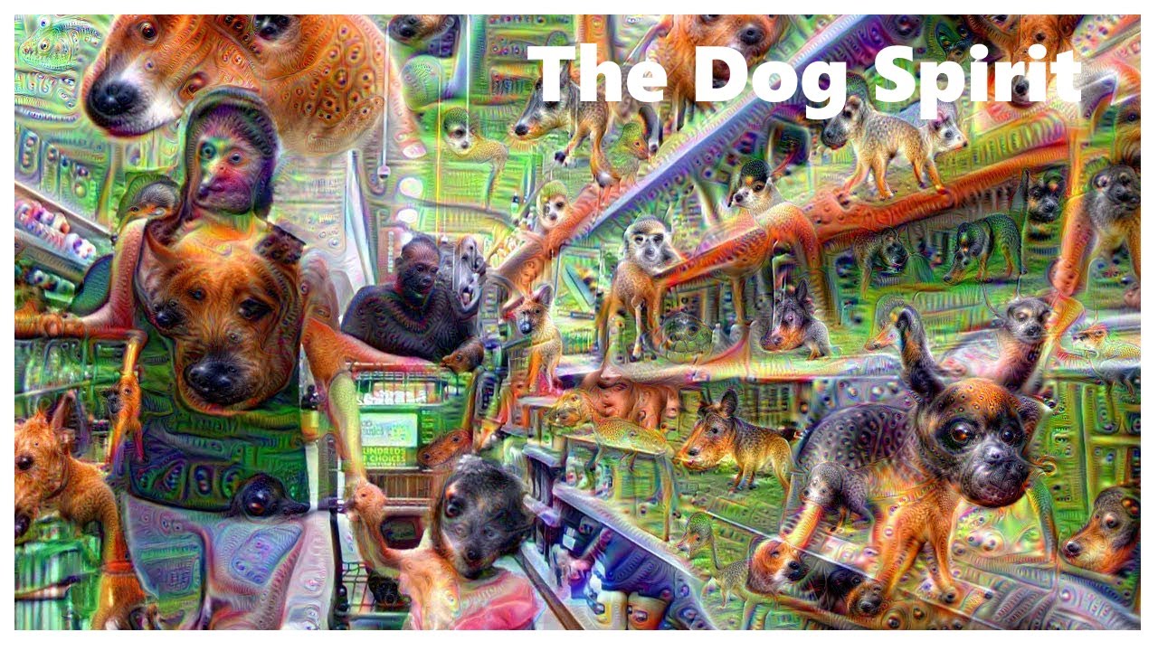 The Dog Spirit - A Morning Glory Trip Report