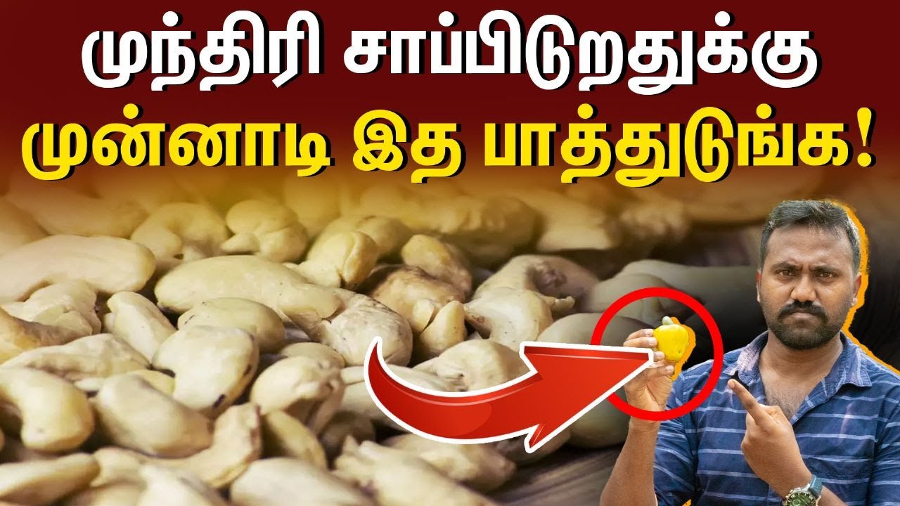 முந்திரி பற்றி யாரும் அறியாத உண்மை! | முந்திரி பழம் | Cashew nut explained tamil | street light