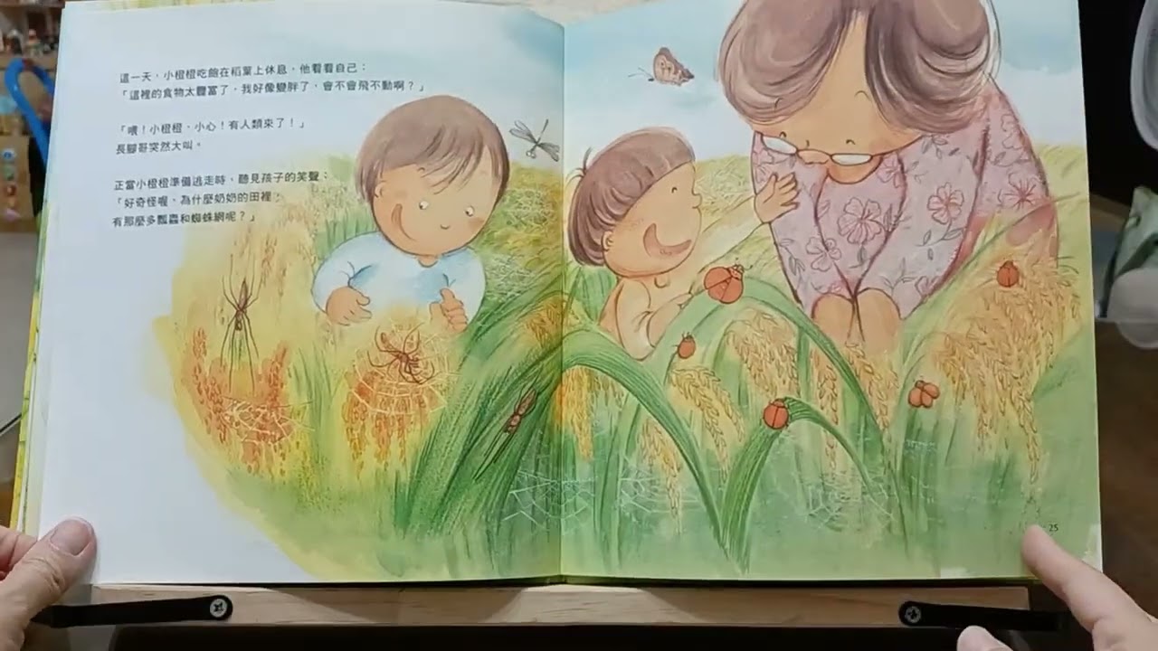 橙瓢蟲找新家-低年級