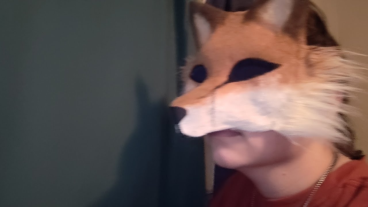 Fox in the rain