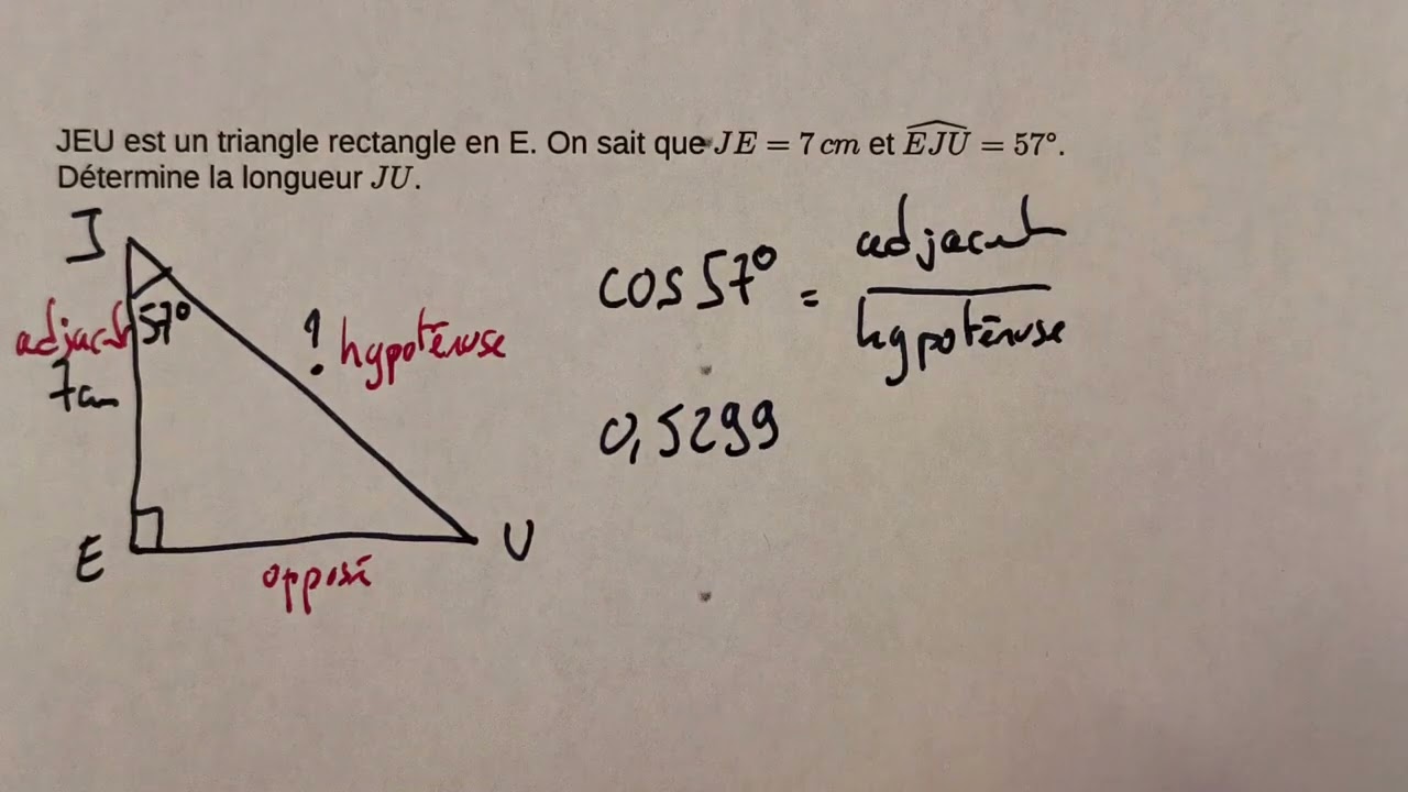 Trigo pour longueur