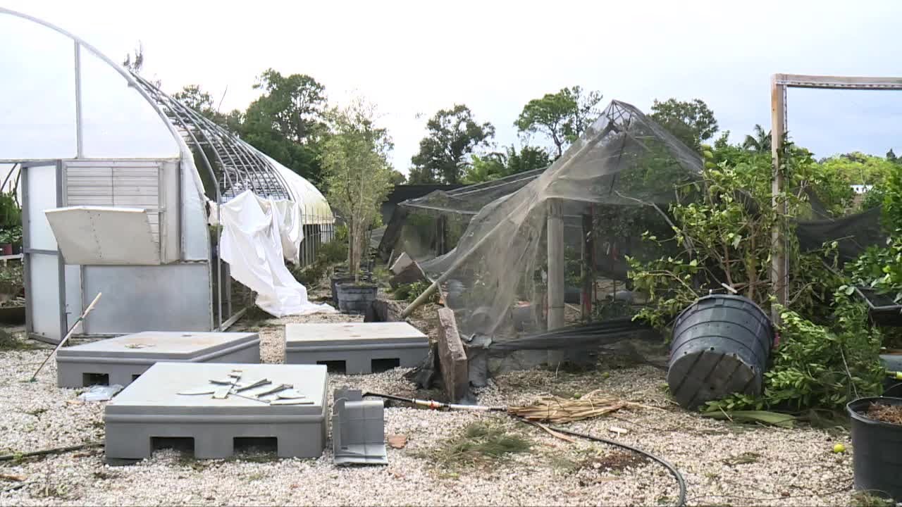 Surveying damage at Jupiter Farms