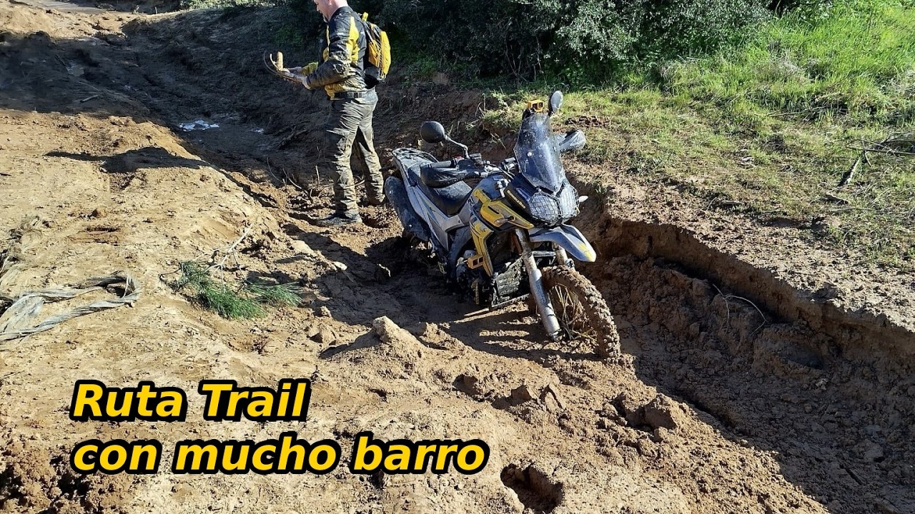 Ruta Trail de Montequinto a Aznalcazar 15 de Febrero de 2026