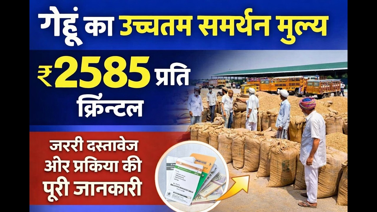 🔥 “MSP गेहूं ₹2585 – जान लें पहले!”💸 “गेहूं बेचेंगे तो ये जरूर देखें | MSP 2026”