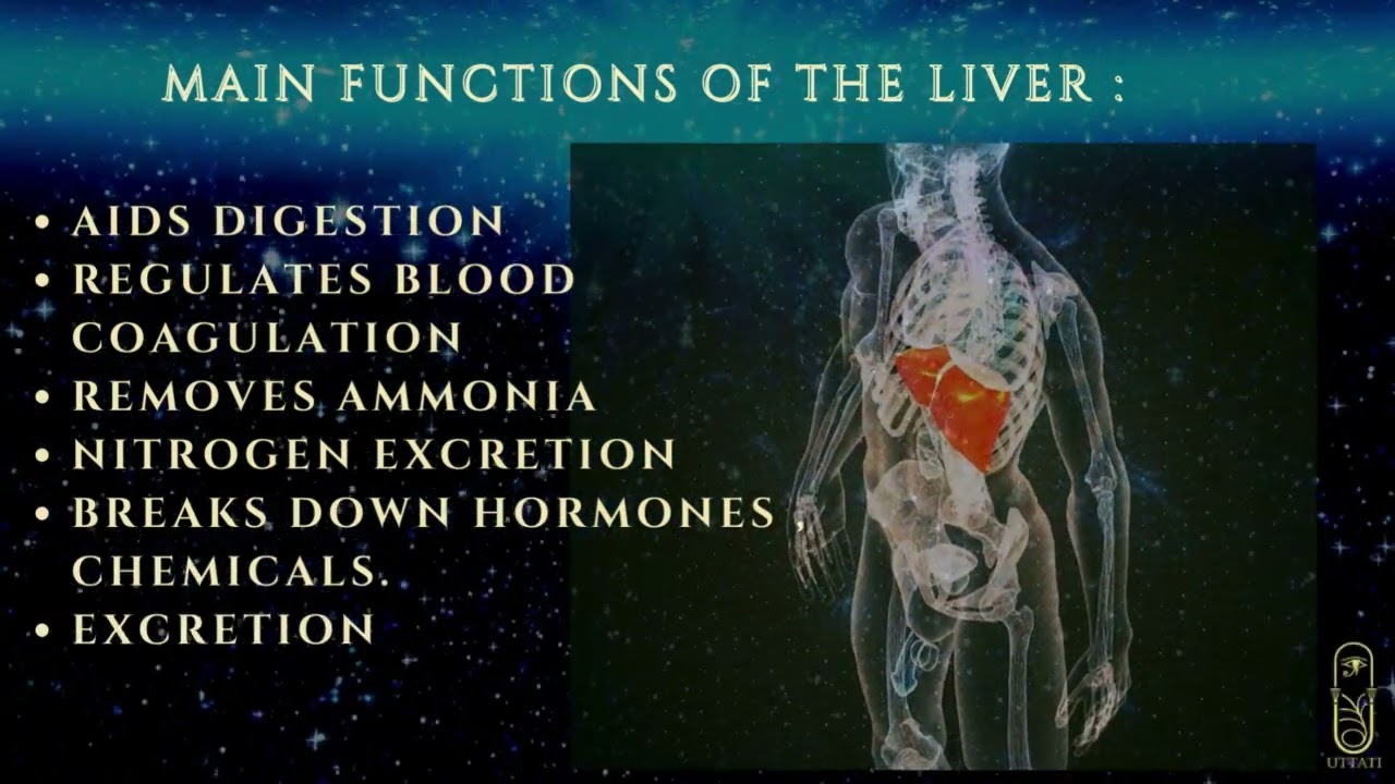 Liver Detoxification Program tINCTURE LLC1
