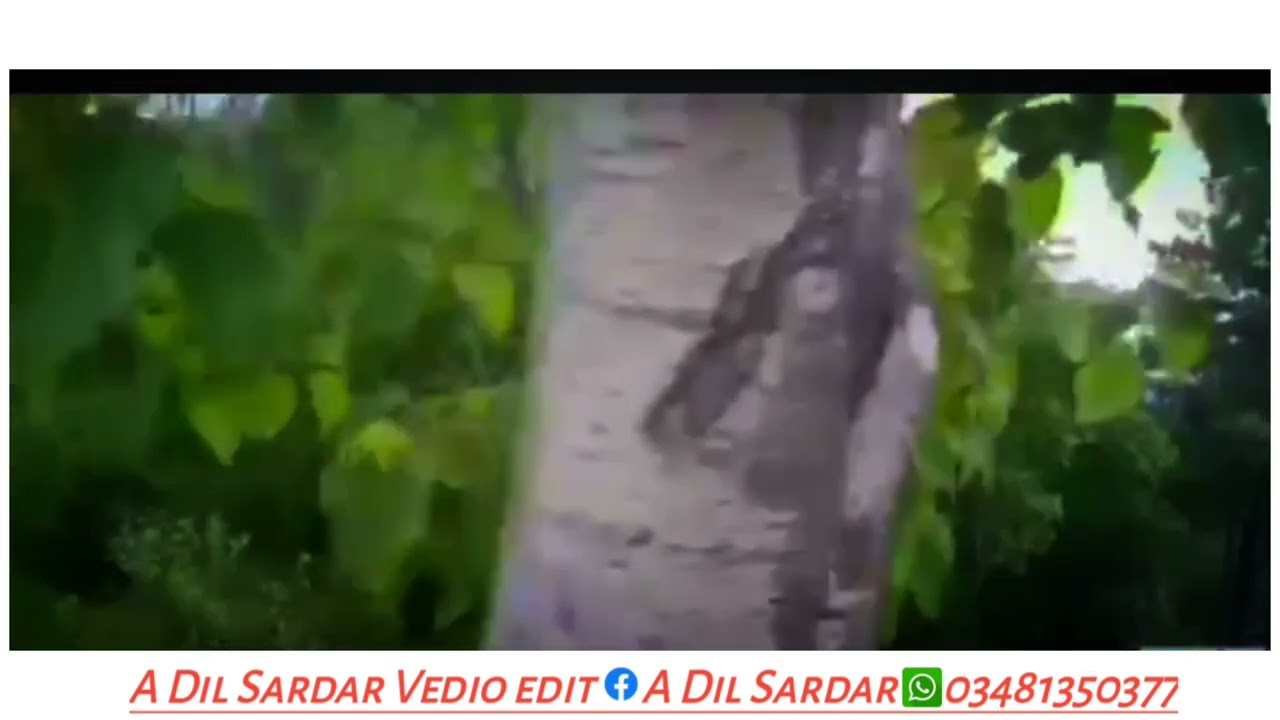 Beauty of pallandri Azad kashmir