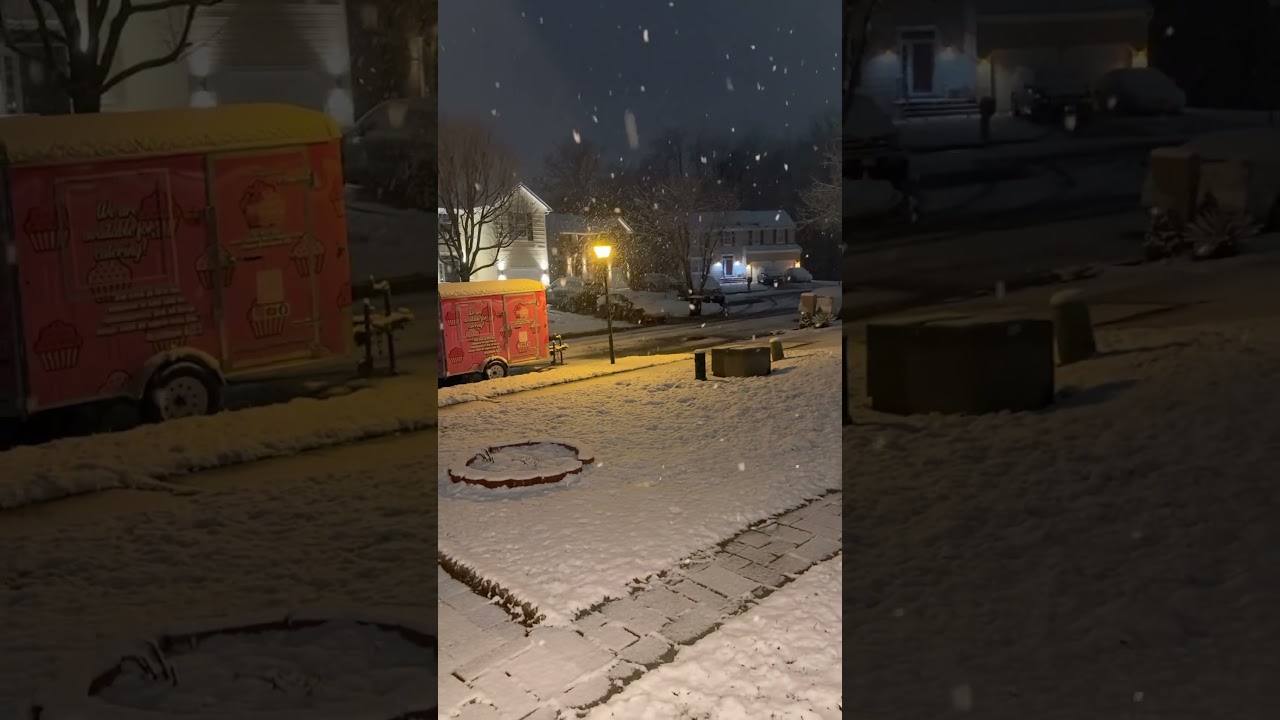 February Winter Storm #winterstorm2026  #fun #shorts #weather #snow #frozen
