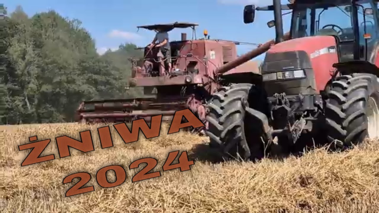 |Żniwa 2024|