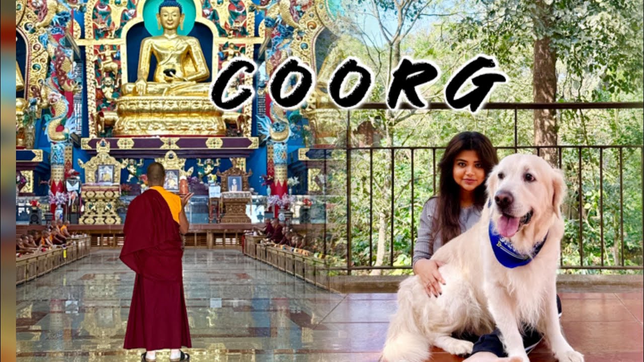 Coorg | Coorg Road Trip | Pet Friendly resort Coorg | The Birchwood Retreat Coorg