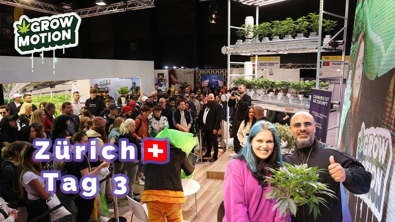🟣 Massiv & GrowMotion in Zürich bei der Cannabis Messe 🪴