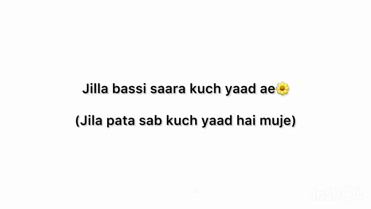 Cheena🕊️ w/ Hindi Translation + Lyrics✨
