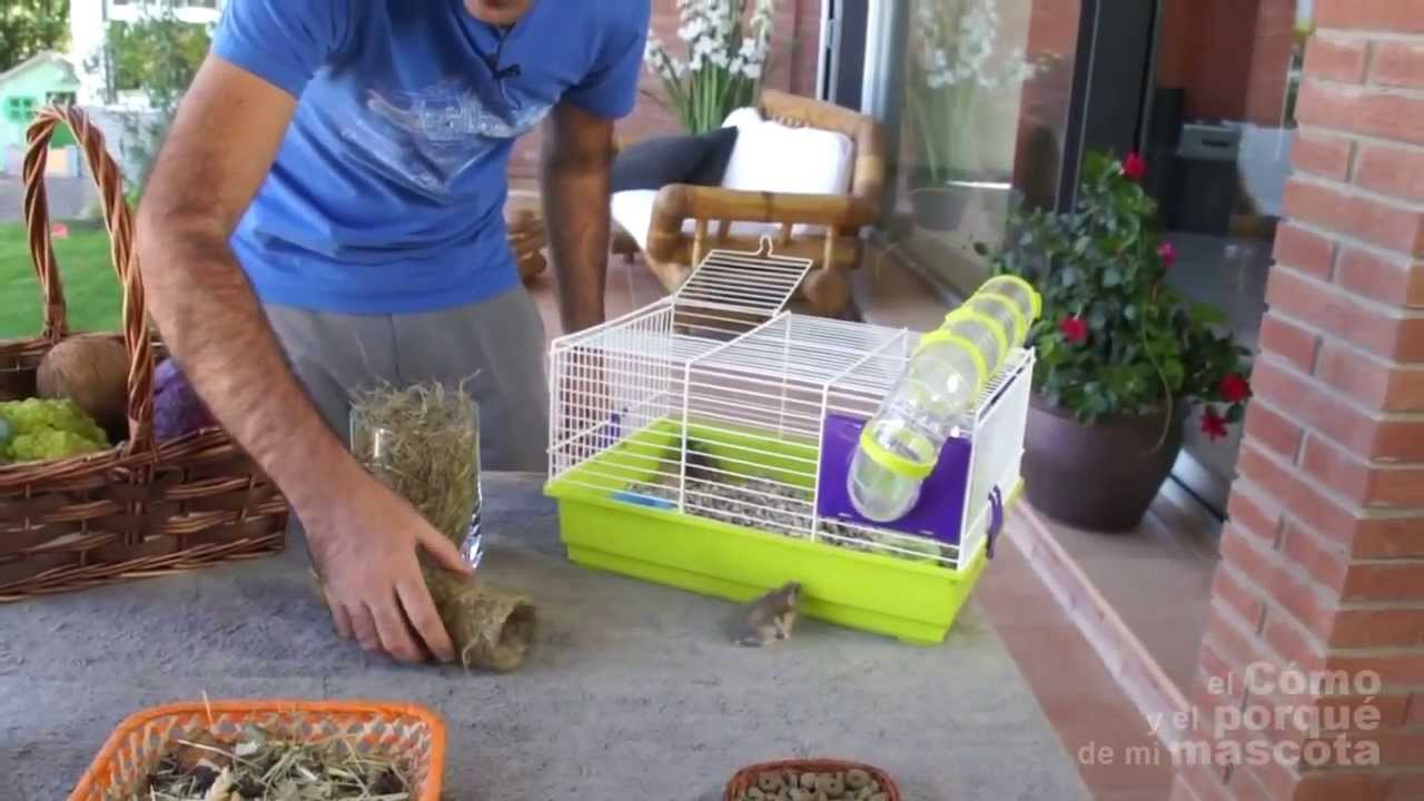 [Ro ] HAMSTER- Cunipic Naturaliss, hrana destinata hamsterilor