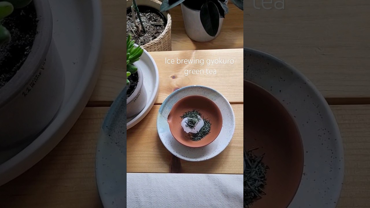 Ice brewing gyokuro green tea for 2 hours!! 😅 #umami #slowliving