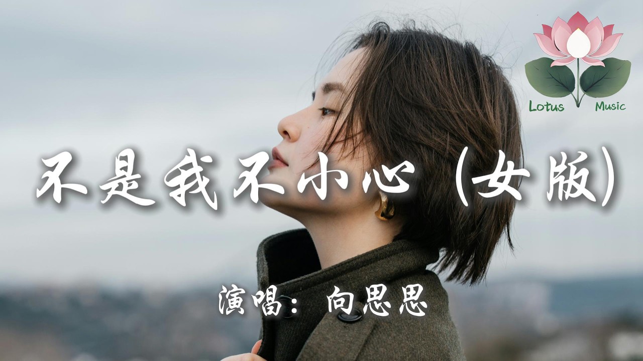 向思思 - 不是我不小心 (女版)『不是我不小心 只是真情難以抗拒 不是我存心故意 只因無法防備自己』【動態歌詞MV】
