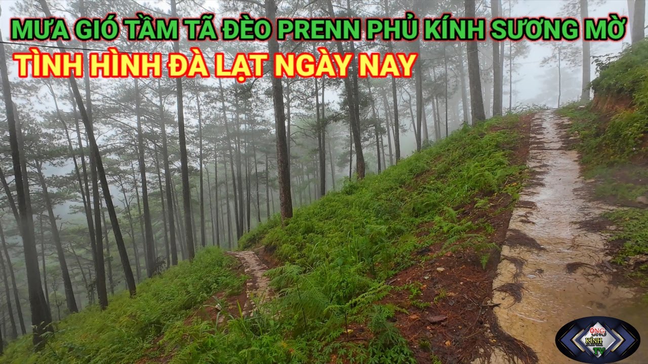 ĐÀ LẠT MƯA GIÓ TẦM TÃ SƯƠNG MỜ DÀY ĐẶC ĐÈO PRENN