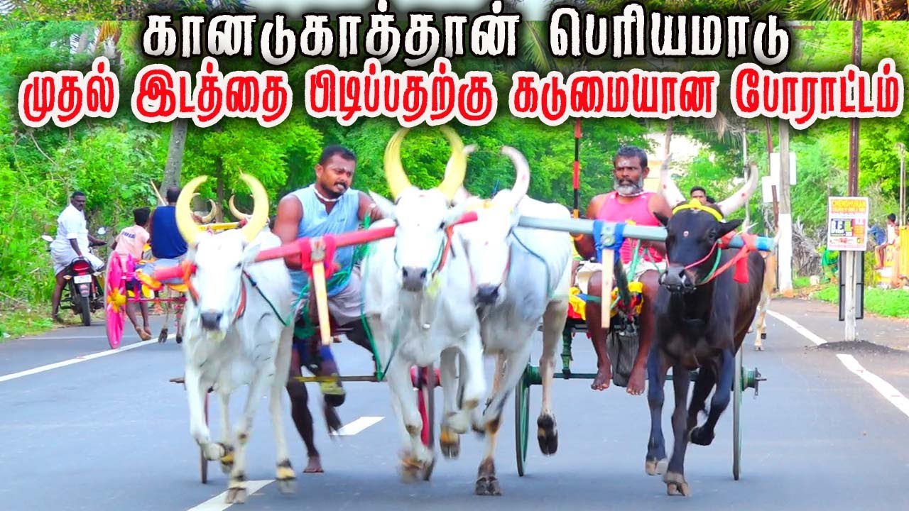 1 கானாடுகாத்தான் பந்தயம் 17.06.2023