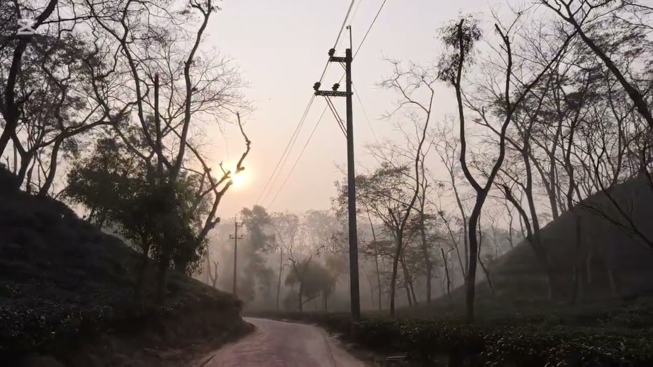 Sunrise at the tea garden,sreemangal, on the way to Madhabpur Lake,moulbibazar,sylhet