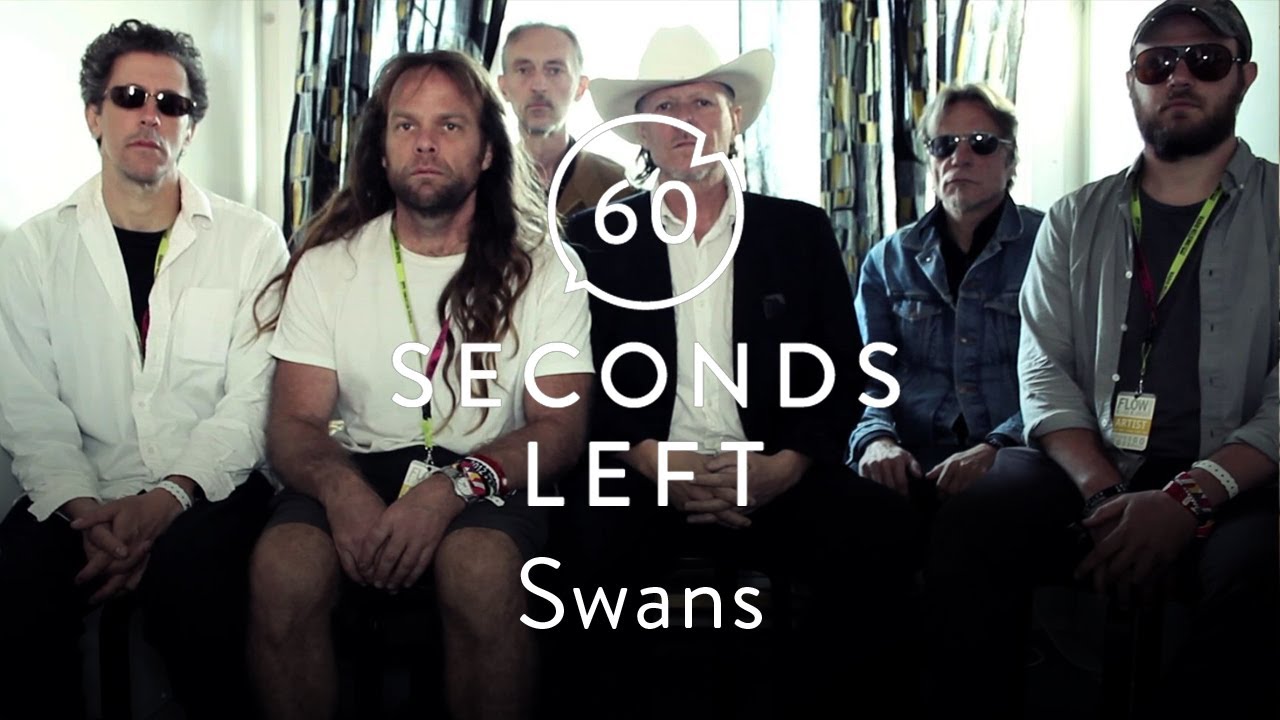 Swans Challenge You to a Staring Contest - 60 Seconds Left