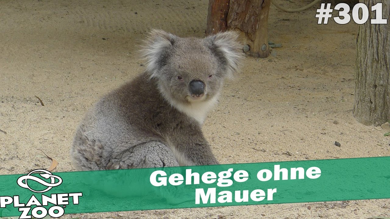 Gehege ohne Mauer 🐘 PLANET ZOO [Deutsch] #301