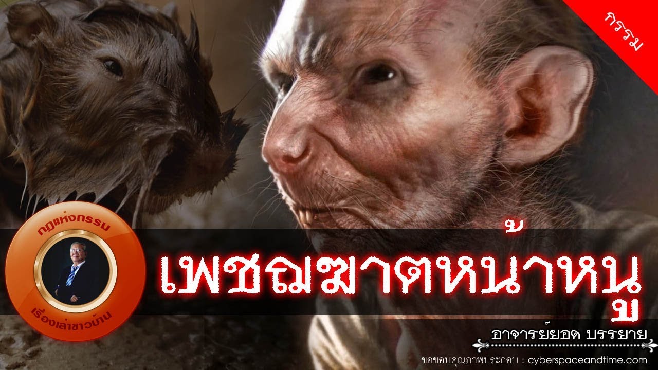 อาจารย์ยอด : เพชฌฆาตหน้าหนู [กรรม]
