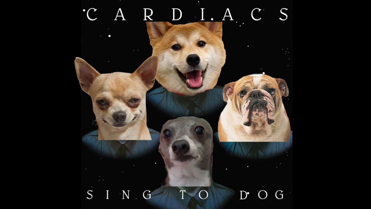 Cardiacs - Sing to Dog