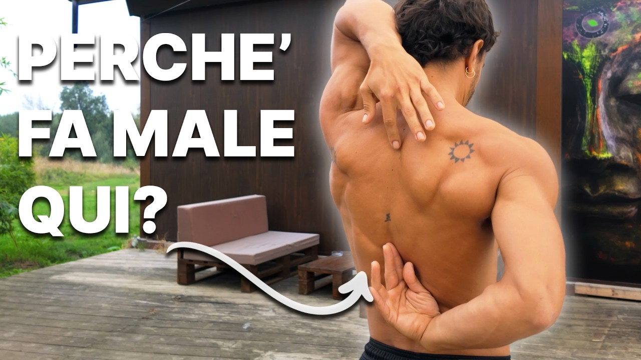 Come funziona davvero la colonna vertebrale? (e perché spesso fa male!)