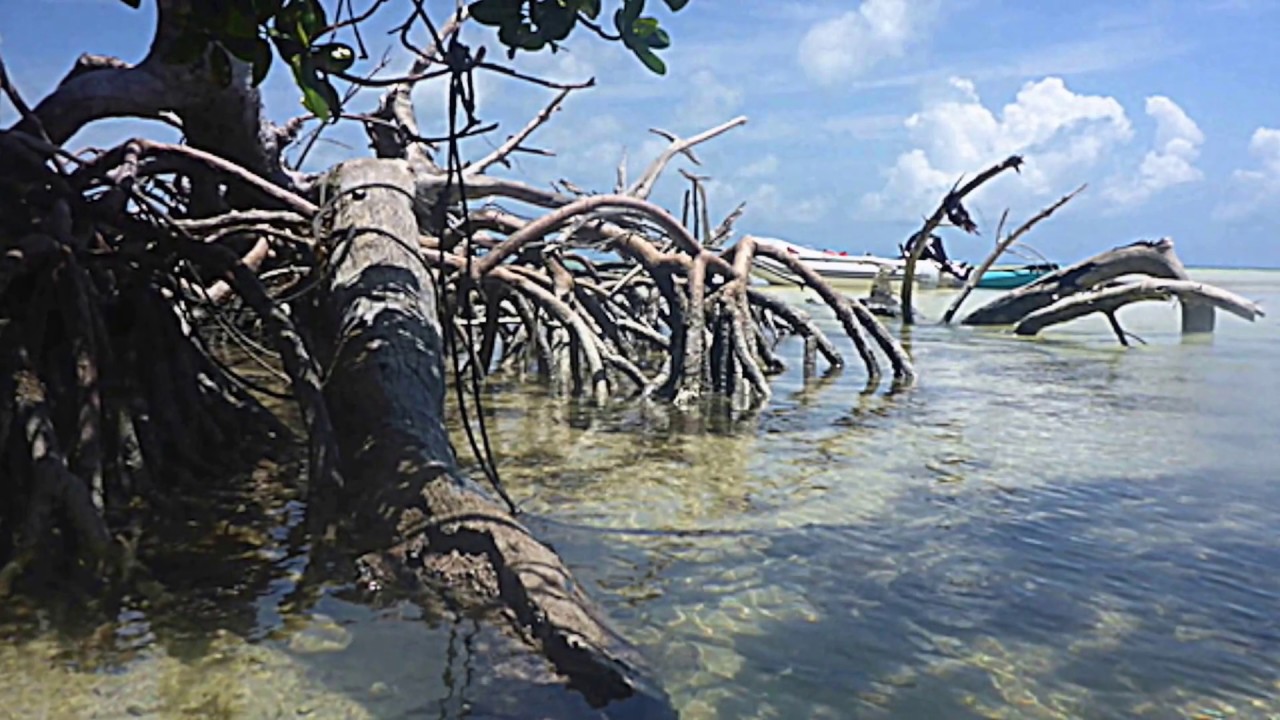 A Marquesas Key Adventure ~ Above the Water