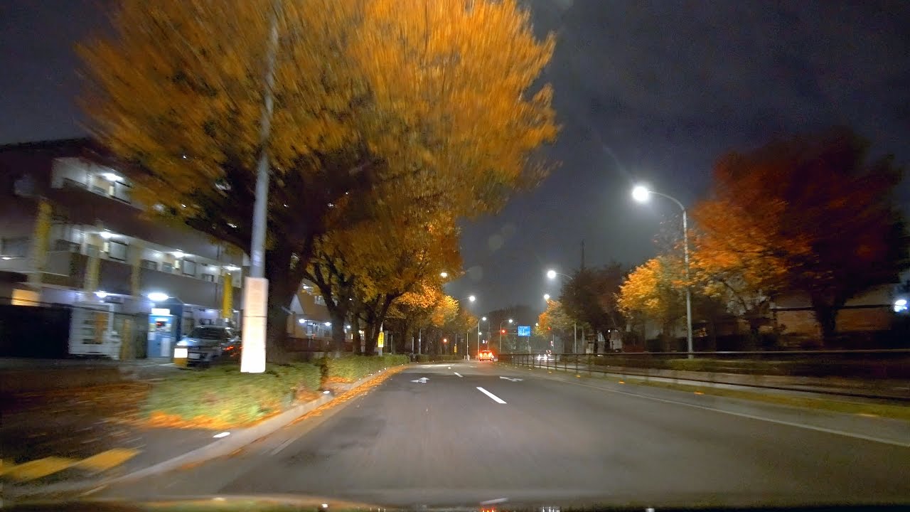 調布保谷線 他 西東京市 - 調布市 夜間 [車載動画 2016/11] 東京都