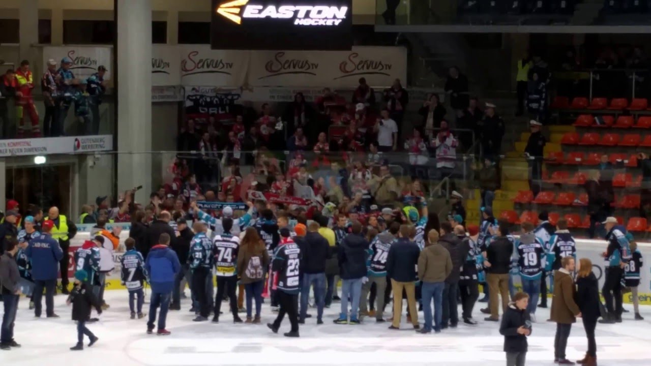 Fans von Black Wings Linz und Orli Znojmo feiern gemeinsam Finaleinzug 4k
