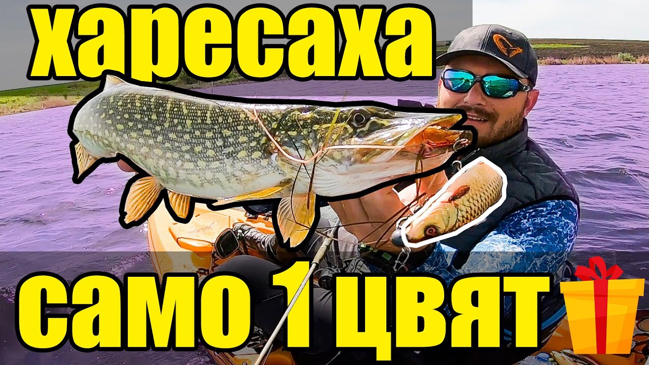 КАПРИЗНИ ЩУКИ АТАКУВАТ САМО НА ЕДИН ЦВЯТ. РИБОЛОВ НА ЩУКА В СИЛЕН ВЯТЪР
