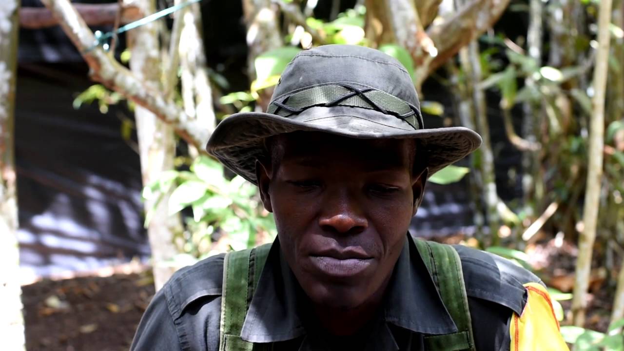 Jeison: Buenaventura, 32 años, 12 en las Farc