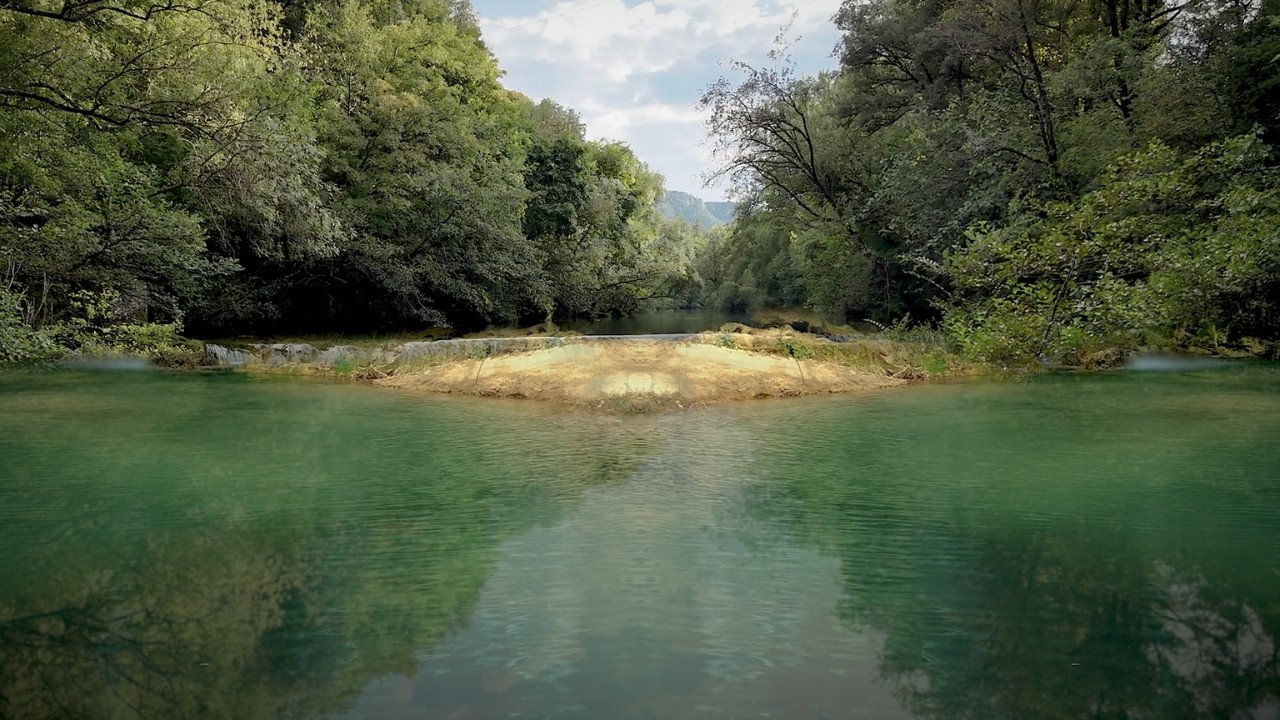 Calm Forest River 🌿 Relaxing Music & Gentle Water Sounds for Focus, Study & Sleep (2 Hours)