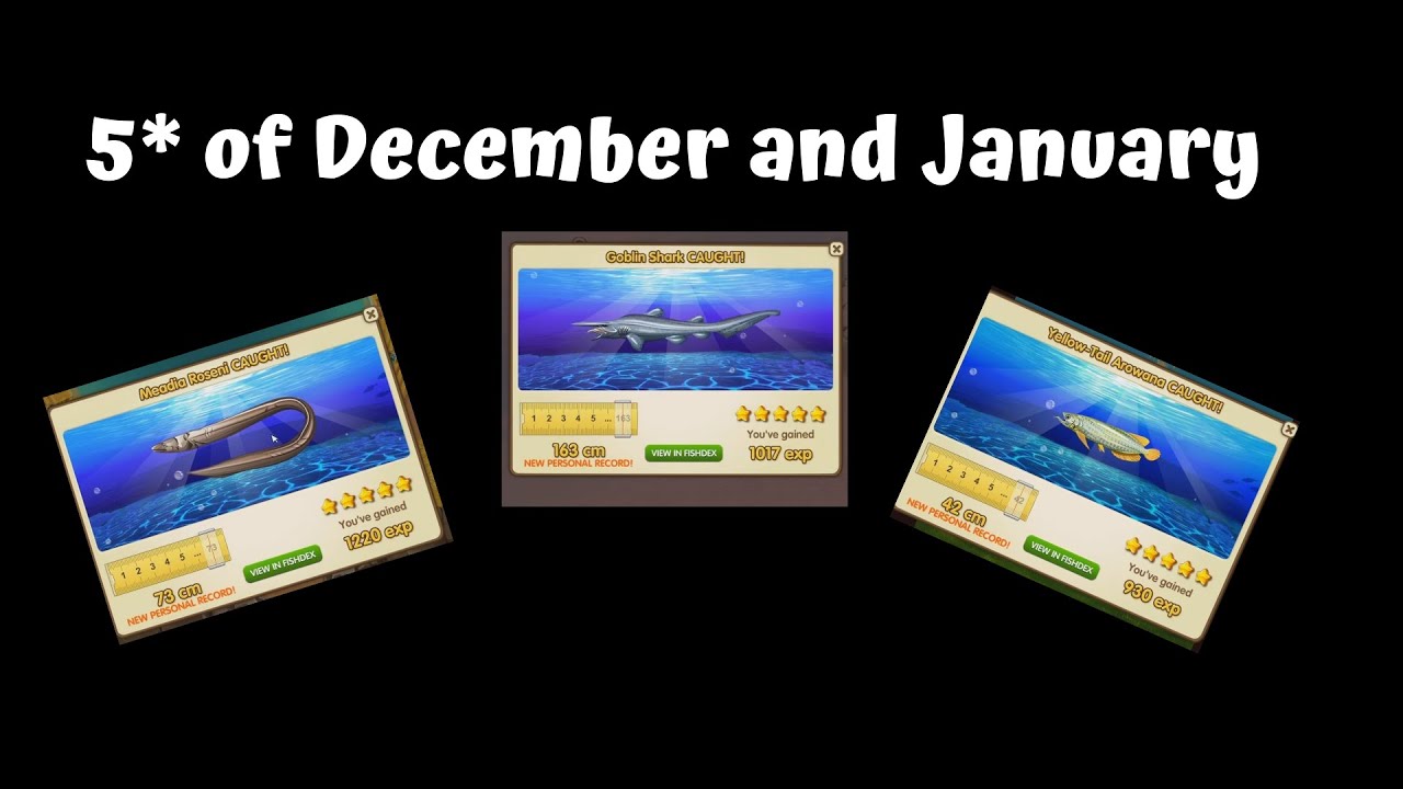 FISHAO | 5* of December & January