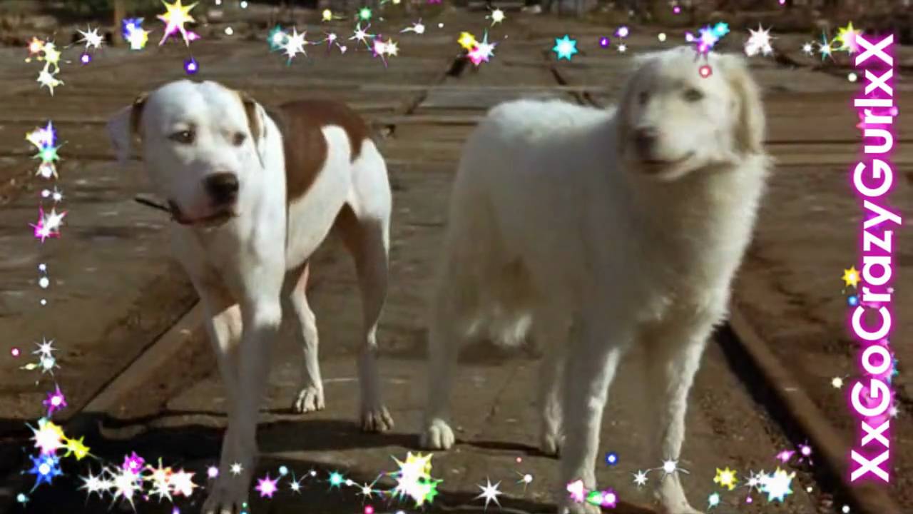 Chance X Delilah 