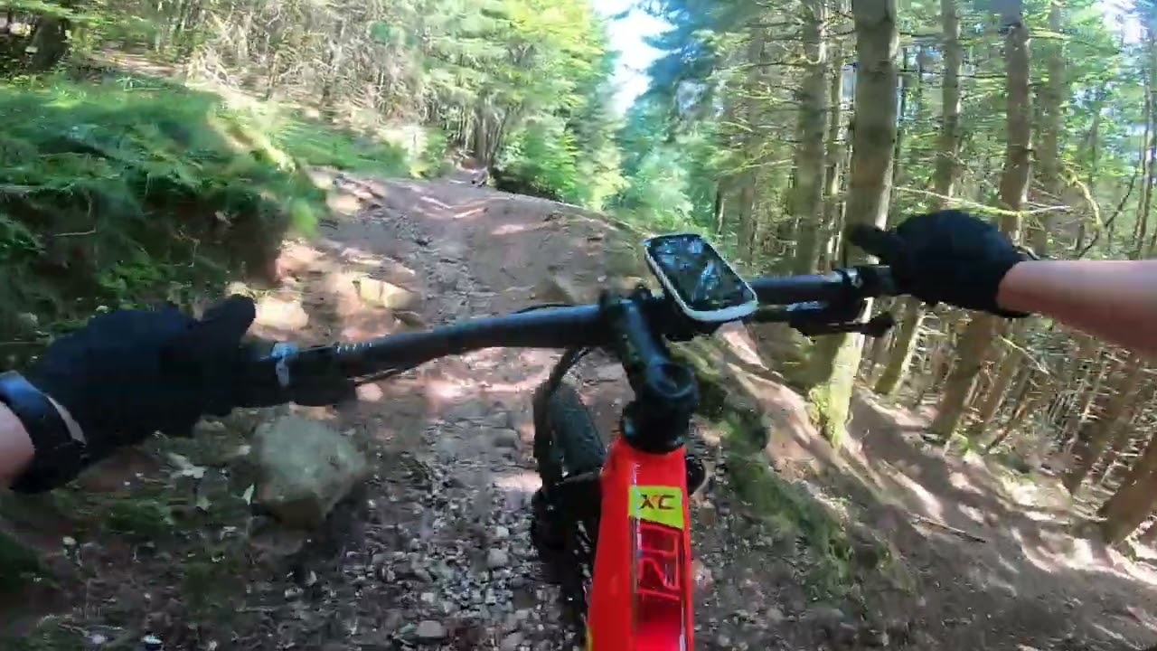 Circuit N12 (bleu) Massif du Kemberg | VTT Vosges Passion