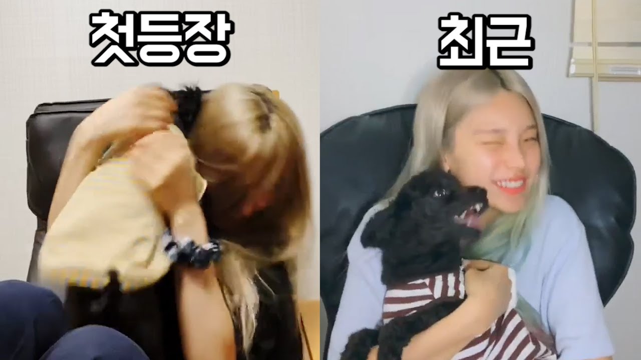 [ITZY]있지 반려동물 첫등장과 최근모습