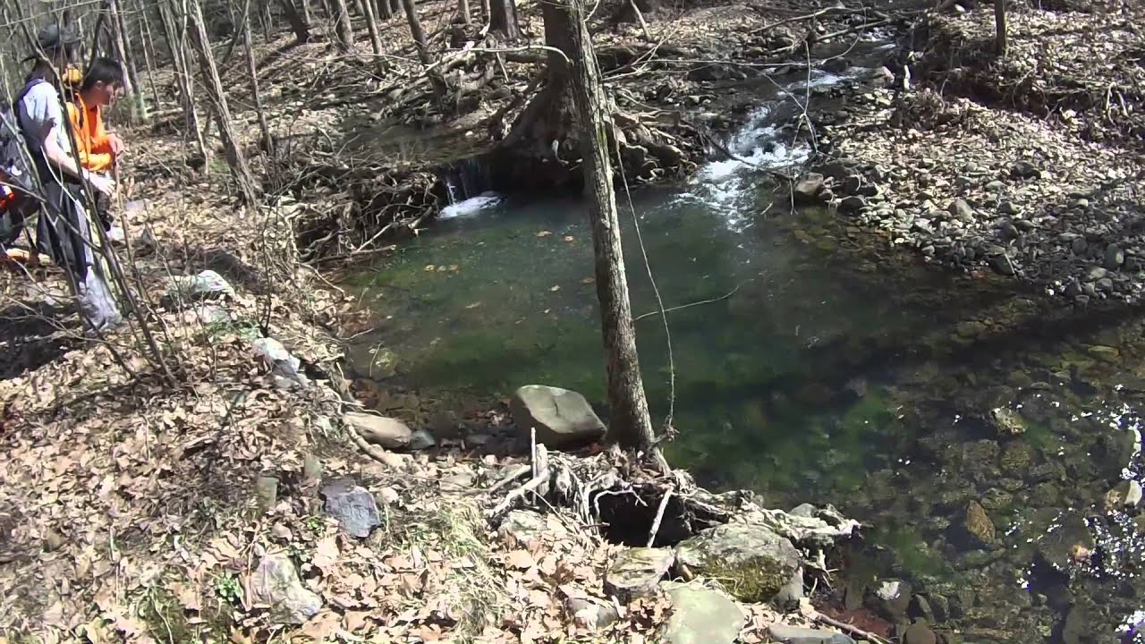 Shenandoah Trip