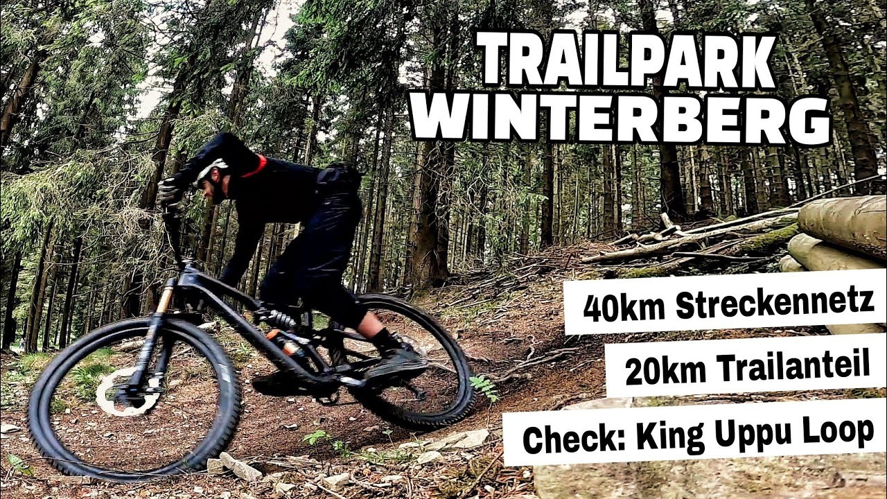 Trailpark Winterberg | Leichte Endurotrails die richtig Spaß machen | Leo Kast