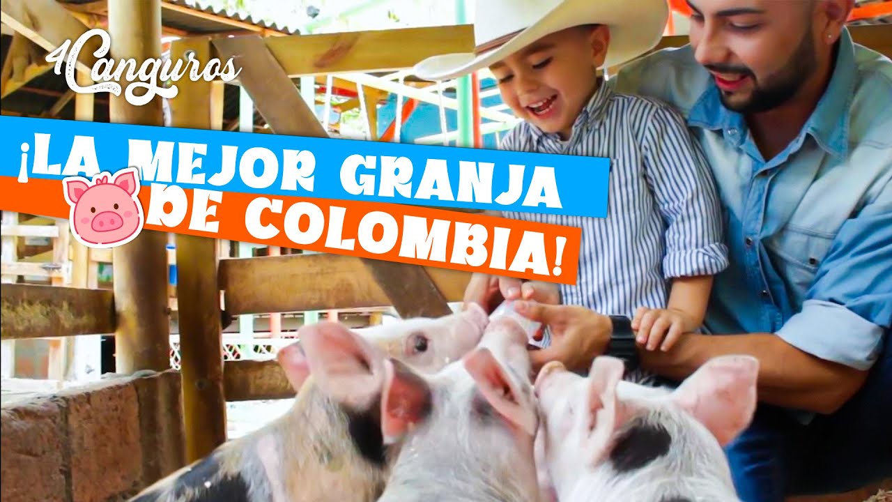 4 CANGUROS 🦘 | GRANJA LA PATURRA 🐮 ¡LA MEJOR DE COLOMBIA!