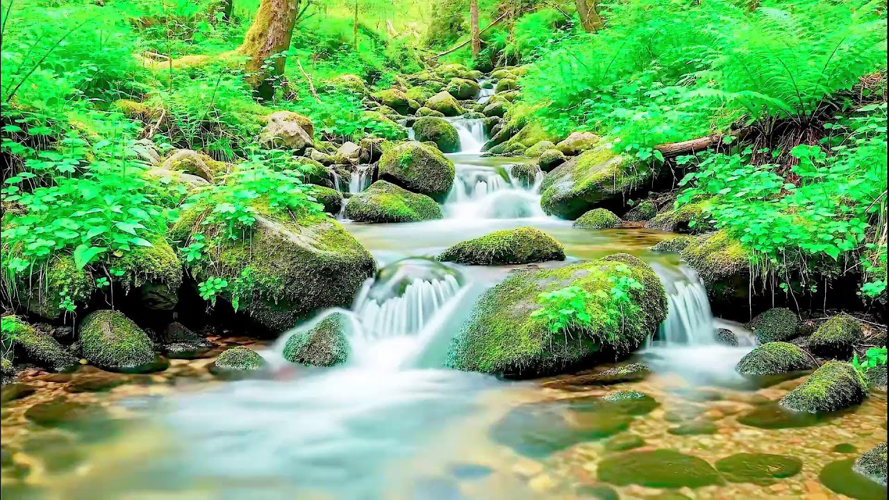 Flowing River Sound for Deep Sleep | Calm Nature Noise for Wellness and Sleep Aid
