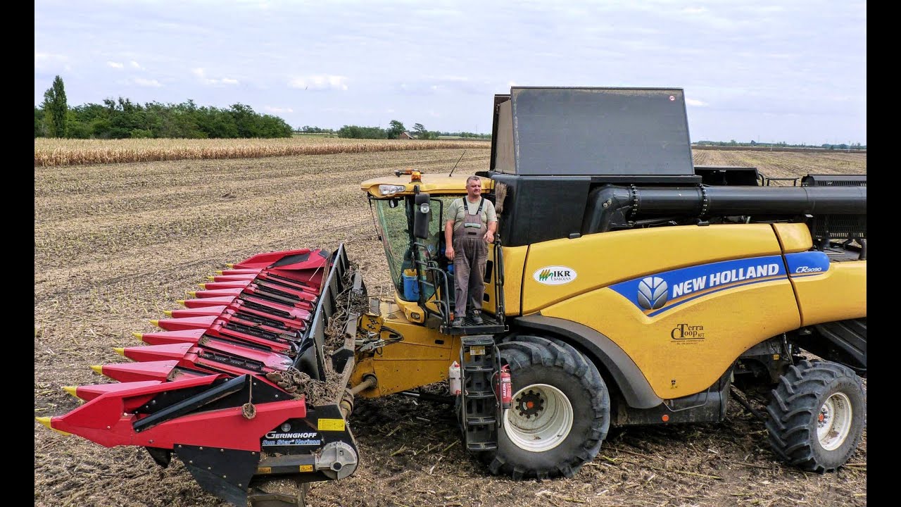 Napraforgó aratás - New Holland CR9090 (SunFlower harvest 2015)