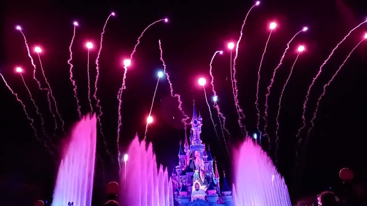 Disneyland 11 4 2025