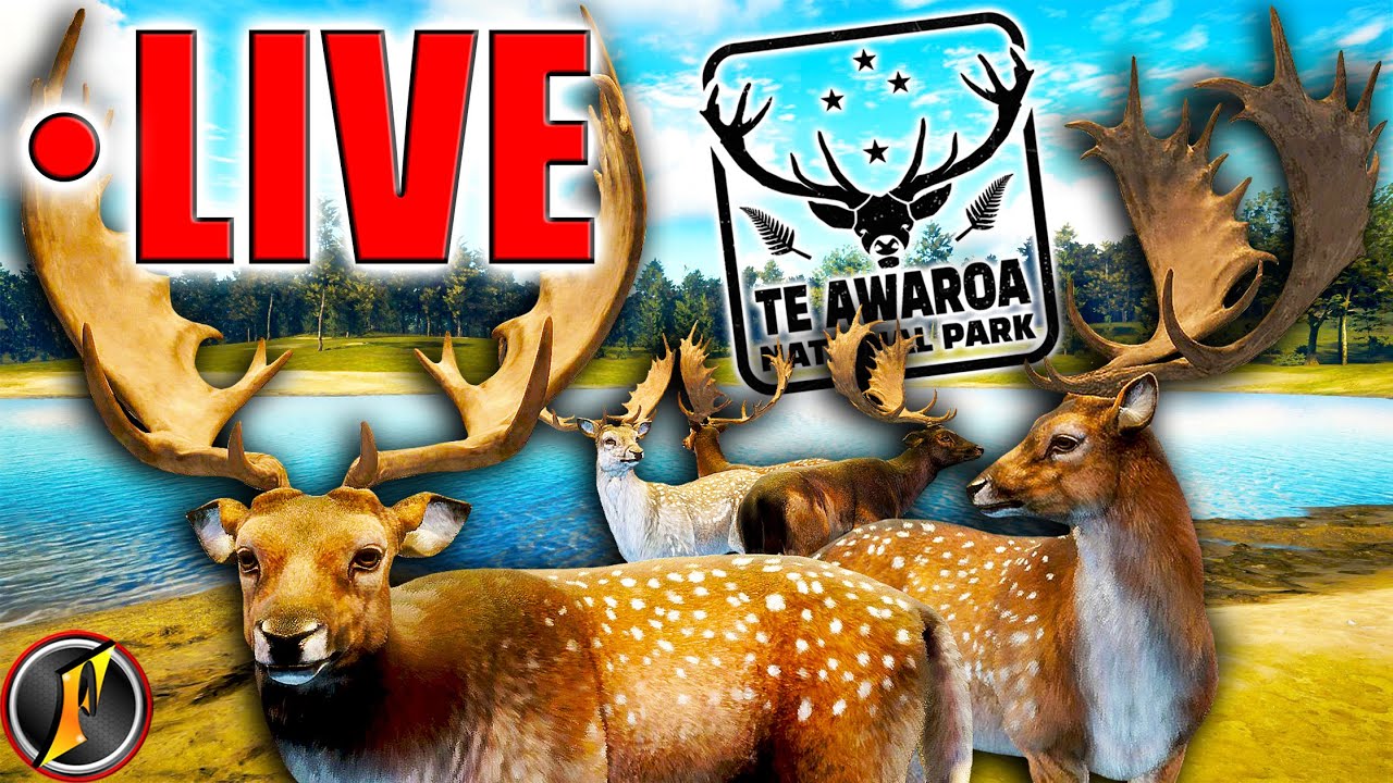 Fallow the Leader to the Big Males! | Fallow Grinding LIVE!